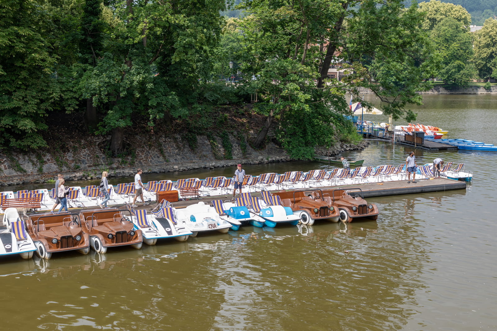 Pedal Boat Rental Vltava