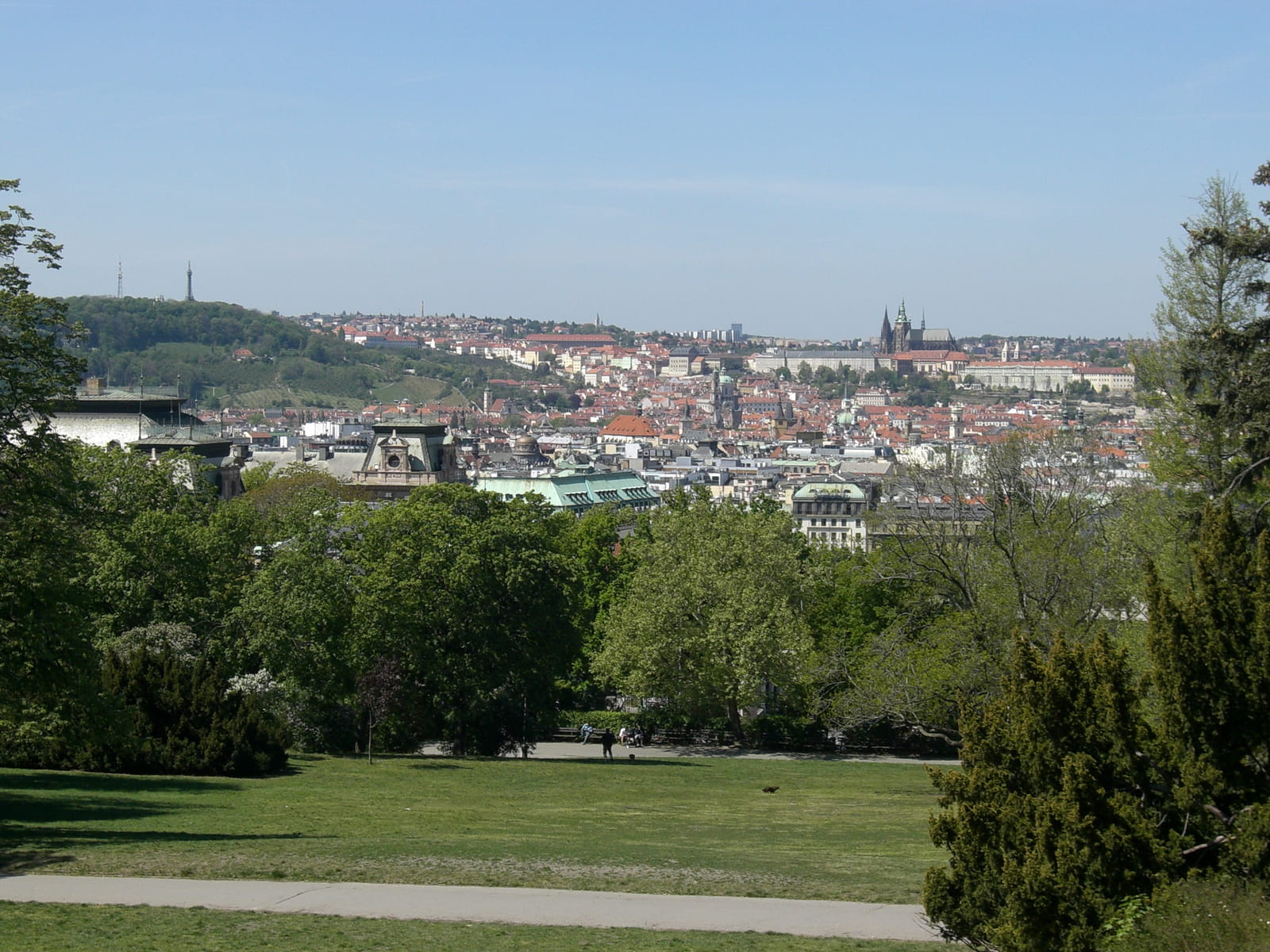Rieger Gardens Panoramic View
